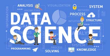 Data Scientist